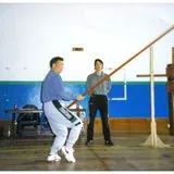 ip ching long pole