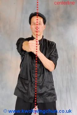 wing chun punching in centerline image