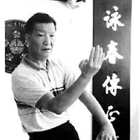 Ip Ching in the VTAA