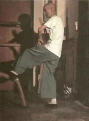 ip man kicks dummy