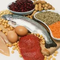 Protein is essential especially if you train martial arts
