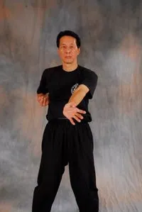 Samuel Kwok Wing Chun technique, palm strike - Ju Cheung